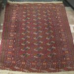 611 5685 ORIENTAL RUG